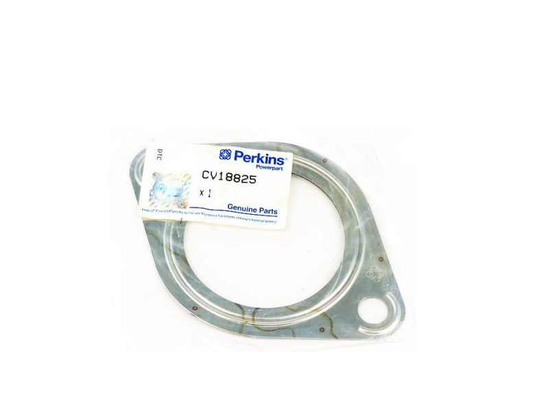 Gasket Perkins CV18825: General view