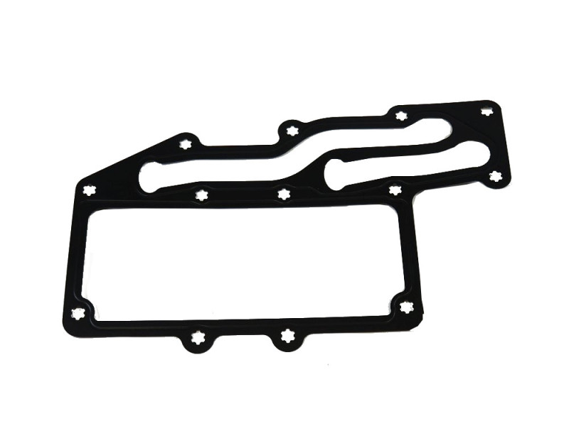 Gasket Perkins 3685A033: General view