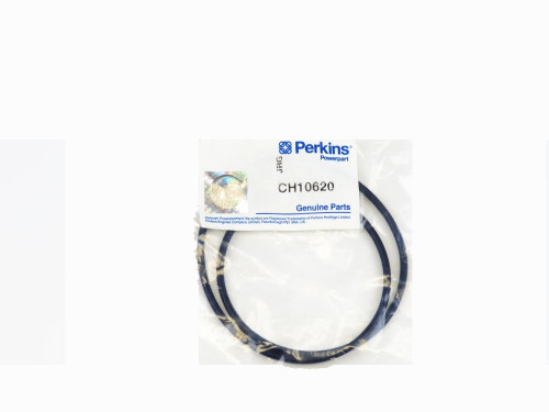 O-ring Perkins CH10620: Vista frontale